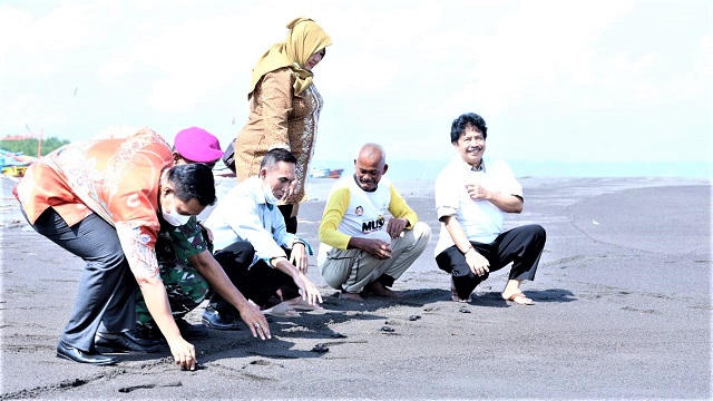 Kepala BPIP Prof Yudian Wahyudi Lepas Tukik dan Tanam Mangrove Bersama Pemuda Desa
